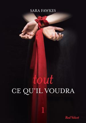 Cover of the book Tout ce qu'il voudra 1 by Candice Rornberg Anzel, Camille Skrzynski