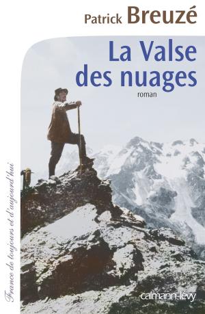 Cover of the book La Valse des nuages by Philippe Sollers, Christian de Portzamparc
