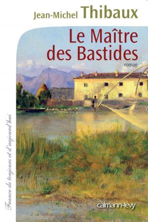 Cover of the book Le Maître des bastides by Nicolas Hulot