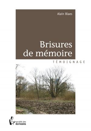 Cover of the book Brisures de mémoire by Hubert Bouteille