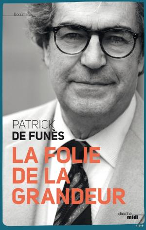 Cover of the book La folie de la grandeur by Philippe DURANT