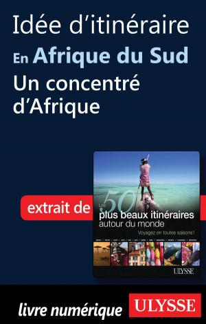 Book cover of Idée d'itinéraire en Afrique du Sud - Un concentré d’Afrique