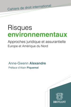 Cover of the book Risques environnementaux by Bruylant