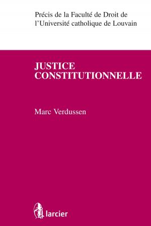 Cover of the book Justice constitutionnelle by Ann Lawrence Durviaux, Thierry Delvaux, Damien Fisse