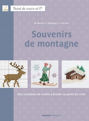 Cover of the book Souvenirs de montagne by Isabelle Kessedjian