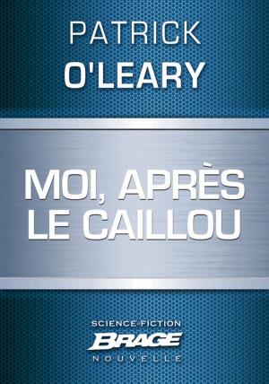 Cover of the book Moi, après le caillou by Richard Sapir, Warren Murphy