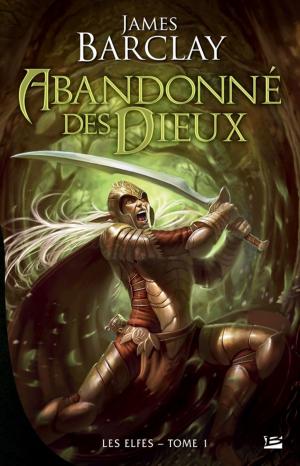 Cover of the book Abandonné des dieux by Mélanie Fazi