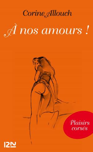 Cover of the book A nos amours ! by Christian JOLIBOIS