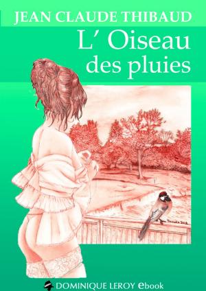 Cover of the book L'Oiseau des pluies by Guillaume Perrotte