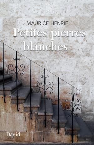 Book cover of Petites pierres blanches