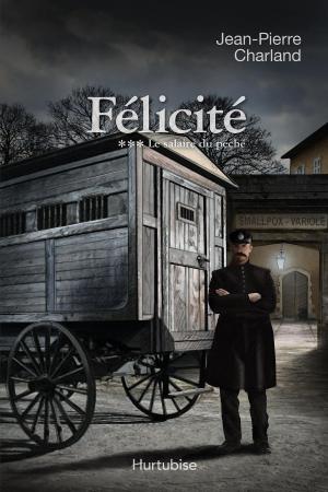 Cover of the book Félicité T3 by Yves Dupéré