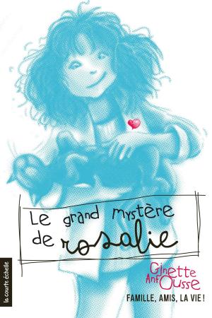Cover of the book Le grand mystère de Rosalie by Éric McComber