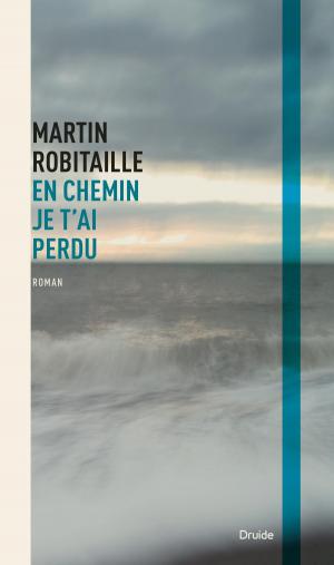 Cover of the book En chemin je t'ai perdu by Ginette Durand-Brault