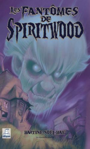 Cover of the book Le fantôme de Spiritwood by Larry Thomas