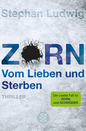 Cover of the book Zorn - Vom Lieben und Sterben by Ulrich Peltzer