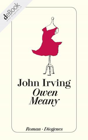 bigCover of the book Owen Meany by 