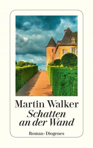 Cover of the book Schatten an der Wand by Friedrich Dönhoff