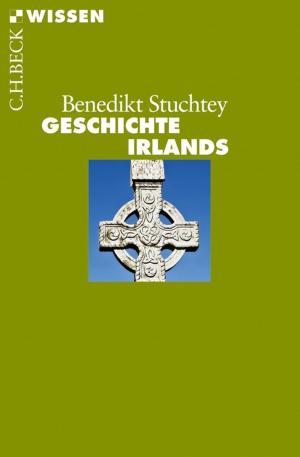 Cover of the book Geschichte Irlands by Wolfgang Mentzel