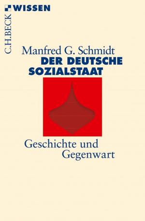 Cover of the book Der deutsche Sozialstaat by Eva Gesine Baur
