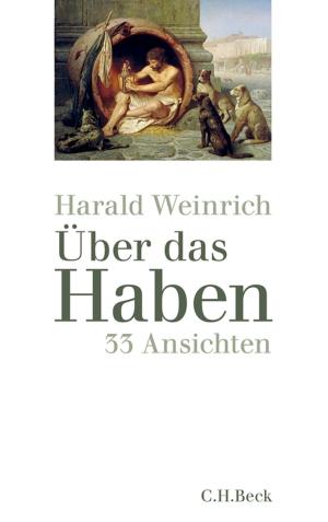 Cover of the book Über das Haben by Jürgen Osterhammel, Jan C. Jansen