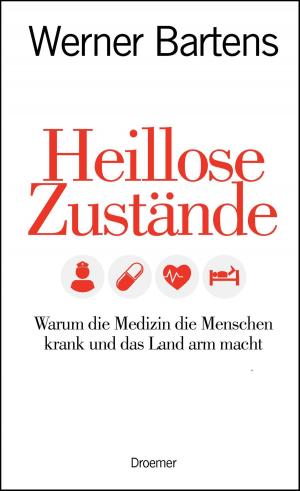 Cover of the book Heillose Zustände by Daniel Goleman