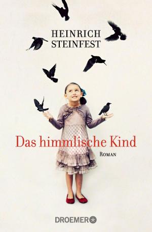 Cover of the book Das himmlische Kind by Volker Klüpfel, Michael Kobr