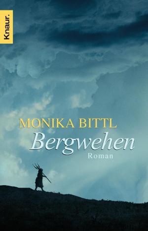 Book cover of Bergwehen