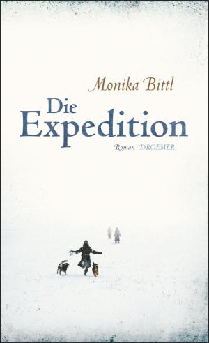 Book cover of Die Expedition