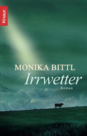 Book cover of Irrwetter