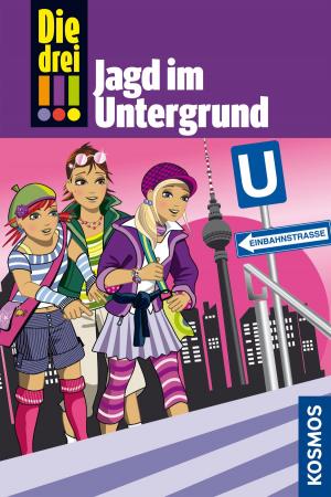 Book cover of Die drei !!!, 22, Jagd im Untergrund (drei Ausrufezeichen)