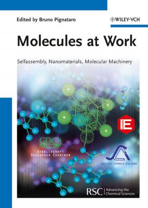 Cover of the book Molecules at Work by Matthias Meyer, Holger Birl, Ramon Knollmann, Carsten Sieber, Jürgen Weber, Hendrik Schlüter