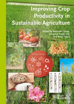 Cover of the book Improving Crop Productivity in Sustainable Agriculture by 