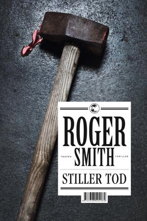 Cover of the book Stiller Tod by Franz Dobler