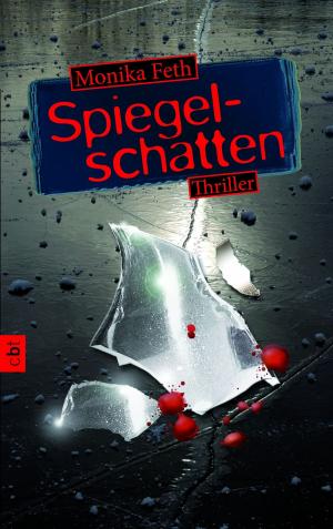 Book cover of Spiegelschatten