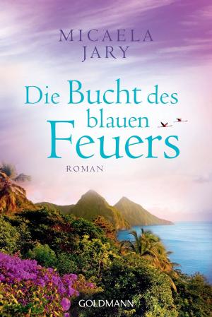 Book cover of Die Bucht des blauen Feuers