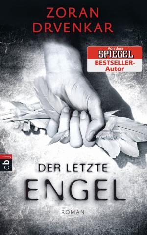 Book cover of Der letzte Engel
