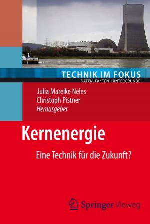 Cover of the book Kernenergie by Eric D. Lippmann