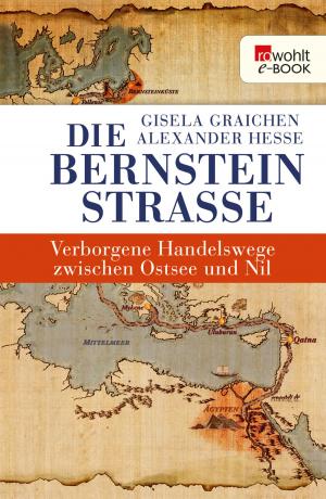 Cover of the book Die Bernsteinstraße by Henning Albrecht