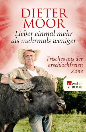Cover of the book Lieber einmal mehr als mehrmals weniger by Angela Sommer-Bodenburg
