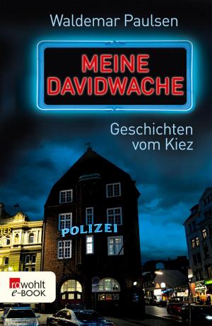 Cover of the book Meine Davidwache by Astrid Fritz