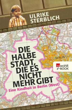 Cover of the book Die halbe Stadt, die es nicht mehr gibt by Sandra Lüpkes
