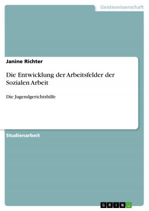 Cover of the book Die Entwicklung der Arbeitsfelder der Sozialen Arbeit by Katrin Schmidt