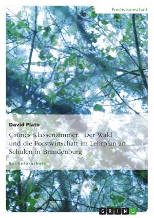 Cover of the book Grünes Klassenzimmer. Der Wald und die Forstwirtschaft im Lehrplan an Schulen in Brandenburg by Florian Beer