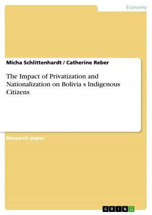 Cover of the book The Impact of Privatization and Nationalization on Bolivia?s Indigenous Citizens by Christian Schulz