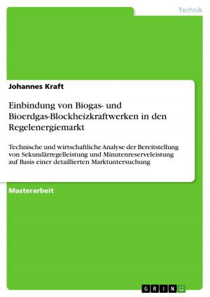 Cover of the book Einbindung von Biogas- und Bioerdgas-Blockheizkraftwerken in den Regelenergiemarkt by Christian Schäfer