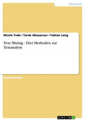 Cover of the book Text Mining - Drei Methoden zur Textanalyse by Fabian Junge