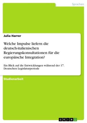Cover of the book Welche Impulse liefern die deutsch-italienischen Regierungskonsultationen für die europäische Integration? by Rainer Ettengruber