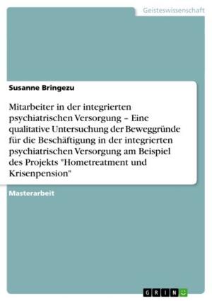Cover of the book Die Motivation hinter der Arbeit in Projekten der integrierten psychiatrischen Versorgung am Beispiel 'Hometreatment und Krisenpension' by Christian Lübke