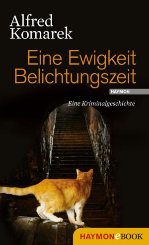 Cover of the book Eine Ewigkeit Belichtungszeit by Klaus Merz