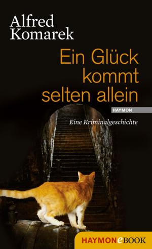 Cover of the book Ein Glück kommt selten allein by Bernhard Aichner